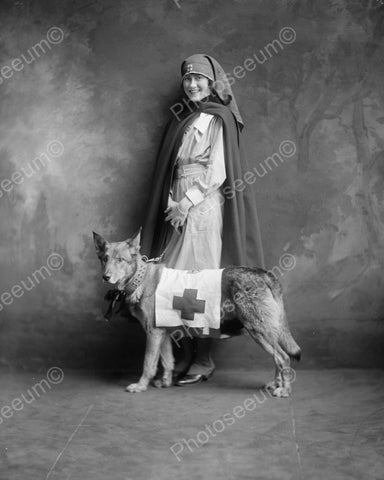 Nurse With Red Cross Dog 1940s Vintage 8x10 Reprint Of Old Photo - Photoseeum