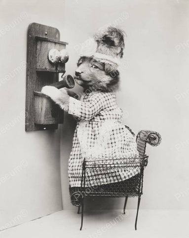 Puppy On The Telephone 1914 8x10 Reprint Of Old Photo - Photoseeum