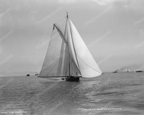 Vanenna Racing Sailboat 1890 Vintage 8x10 Reprint Of Old Photo - Photoseeum
