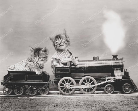 Riding The Cat Train 1914 8x10 Reprint Of Old Photo - Photoseeum