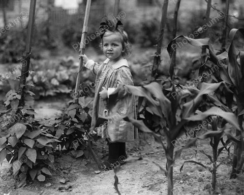 Sweet Little Girl Tot In Garden 1800s 8x10 Reprint Of Old Photo - Photoseeum