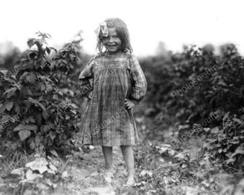 Smiling Little Girl In Berry Patch 8x10 Reprint Of Old Photo - Photoseeum