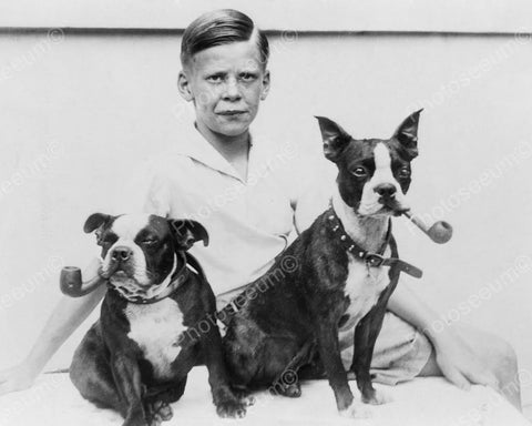 Boy With Smoking Boston Terrier Dogs! Vintage 8x10 Reprint Of Old Photo - Photoseeum