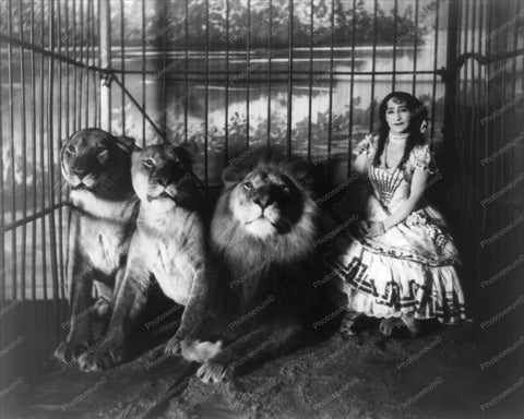 Victorian Lady In Cage with Lions 8x10 Reprint Of Old Photo - Photoseeum