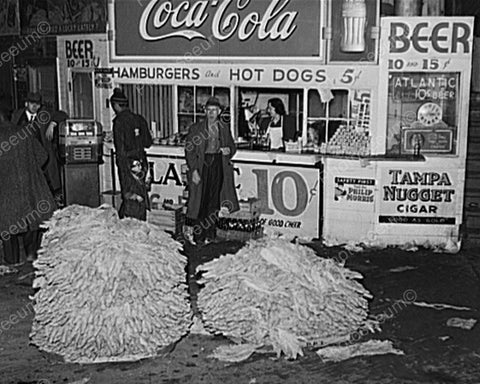 Hot Dog Stand & Coca Cola Sign Scene 8x10 Reprint Of Old Photo - Photoseeum