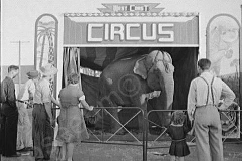 Oregon West Coast Circus Day 4x6 Reprint Of 1940s Old Photo - Photoseeum