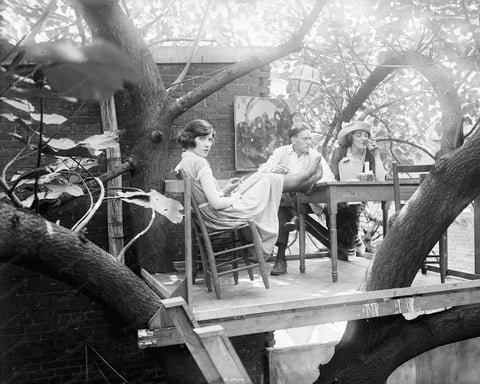 Tree House Cafe Washington July 15 1921 Vintage 8x10 Reprint Of Old Photo - Photoseeum
