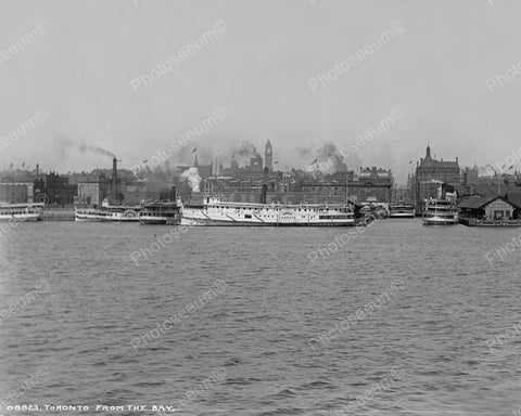 Toronto Harbour Bay 1901 Vintage 8x10 Reprint Of Old Photo - Photoseeum