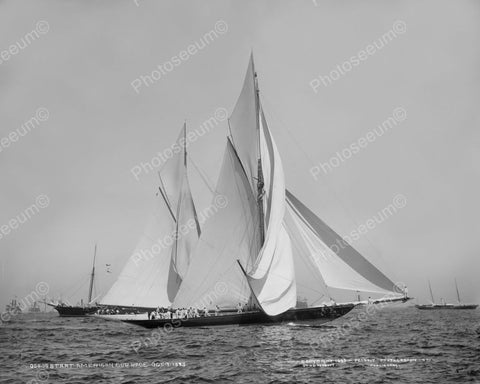 American Sailboat Cup Race 1890s 8x10 Reprint Of Old Photo - Photoseeum