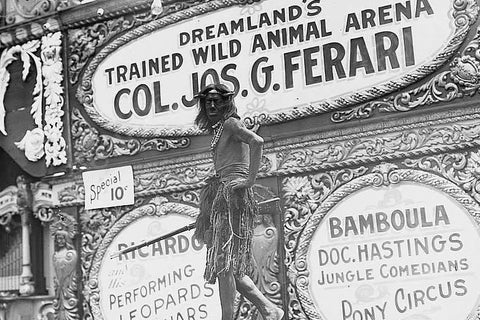 Coney Island Dreamland's Wild Animals 4x6 Reprint Of Old Photo - Photoseeum