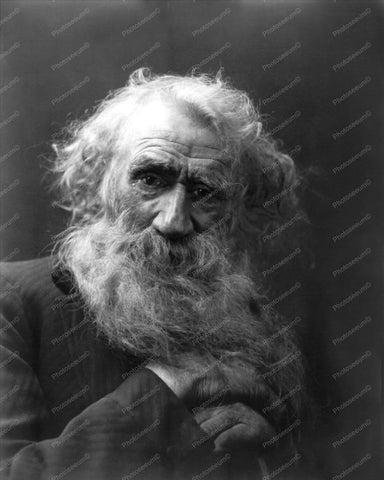 Victorian Bearded Man Portrait 1900s 8x10 Reprint Of Old Photo - Photoseeum